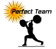 Perfect Team